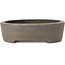 Pot à bonsaï ovale non émaillé par Wabashi - 124 x 97 x 37 mm