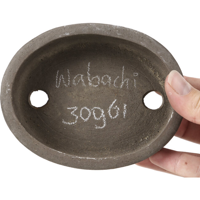 Pot à bonsaï ovale non émaillé par Wabashi - 124 x 97 x 37 mm