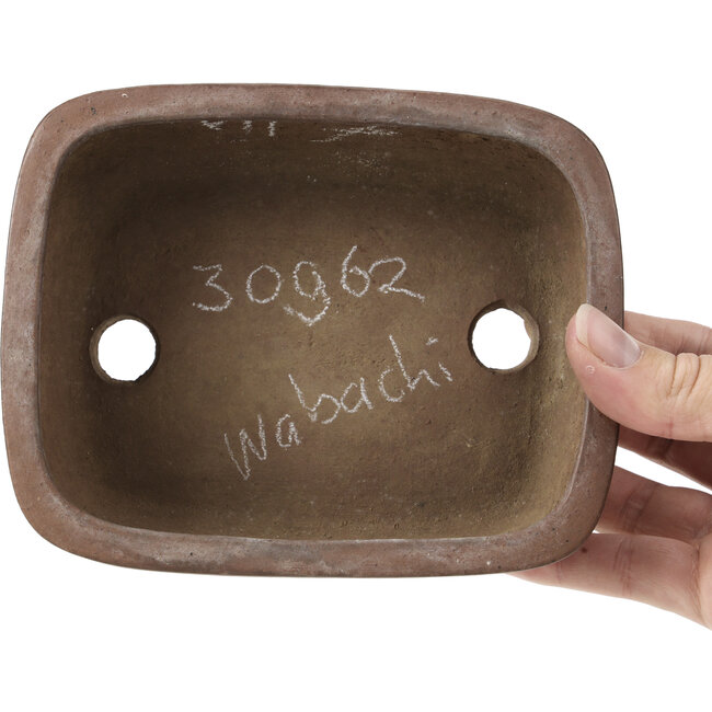 Vaso per bonsai rettangolare non smaltato di Wabashi - 147 x 117 x 51 mm
