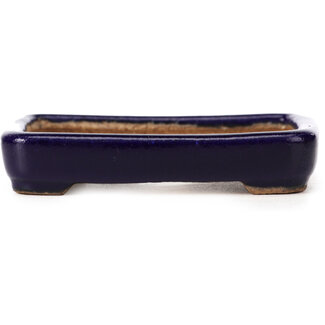  Hattori Tomoyuki 87 mm rectangular blue bonsai pot by Hattori, Tokoname, Japan