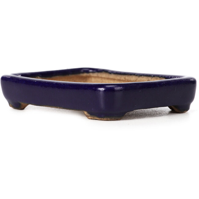 Rectangular blue bonsai pot by Hattori - 87 x 65 x 16 mm
