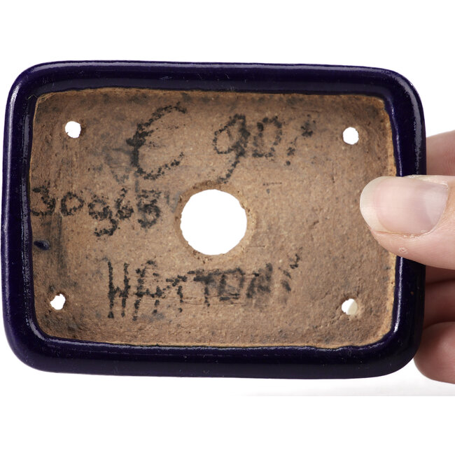 Maceta de bonsái rectangular azul de Hattori - 87 x 65 x 16 mm