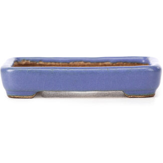  Hattori Tomoyuki 87 mm rechteckige blaue Bonsaischale von Hattori, Tokoname, Japan