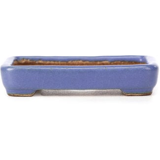  Hattori Tomoyuki 87 mm rectangular blue bonsai pot by Hattori, Tokoname, Japan