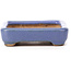 Rectangular blue bonsai pot by Hattori - 87 x 65 x 16 mm