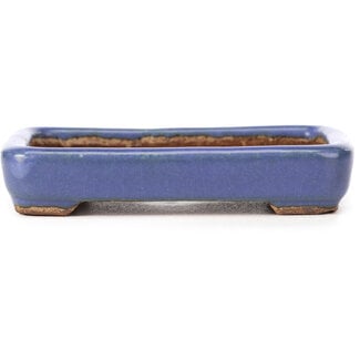  Hattori Tomoyuki 87 mm rectangular blue bonsai pot by Hattori, Tokoname, Japan