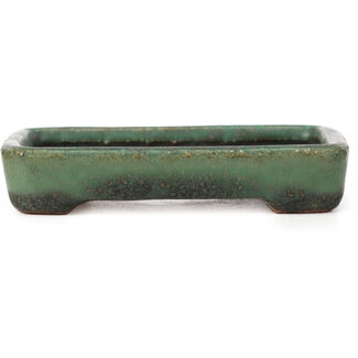  Hattori Tomoyuki 87 mm rectangular green bonsai pot by Hattori, Tokoname, Japan