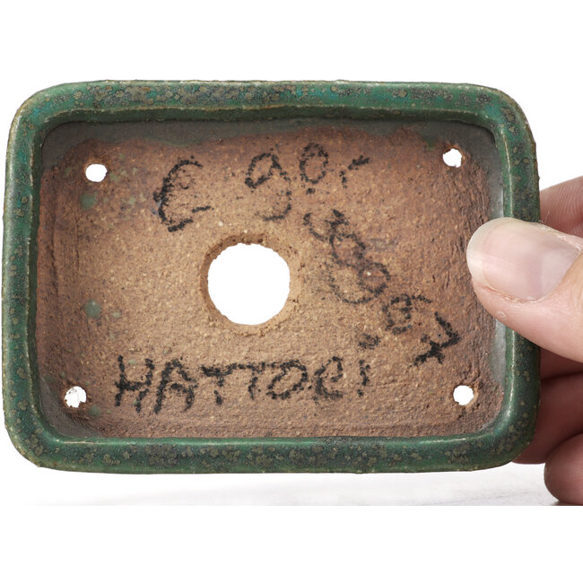 Rechteckige grüne Bonsaischale von Hattori - 87 x 65 x 16 mm