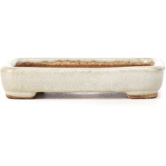  Hattori Tomoyuki 87 mm rectangular beige bonsai pot by Hattori, Tokoname, Japan