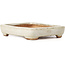 Maceta de bonsái rectangular beige de Hattori - 87 x 65 x 16 mm