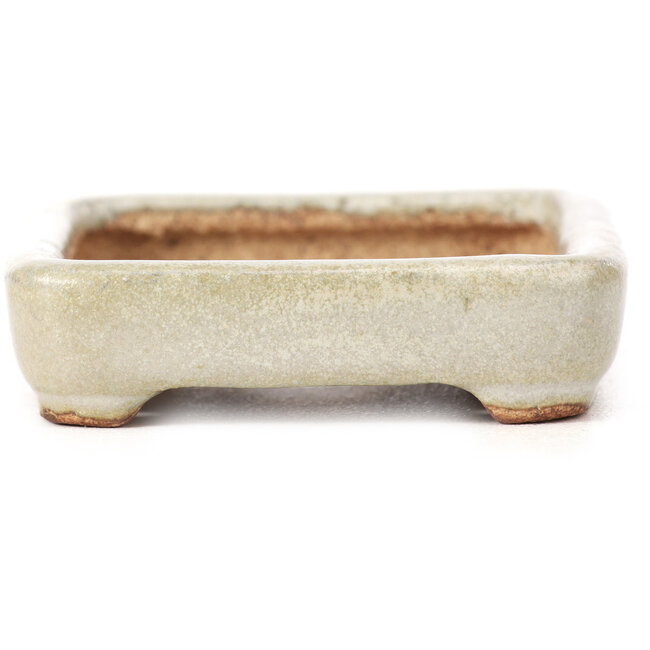 Rechteckige beige Bonsaischale von Hattori - 87 x 65 x 16 mm