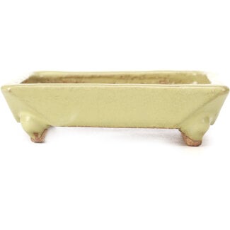  Hattori Tomoyuki 108 mm square yellow bonsai pot by Hattori, Tokoname, Japan