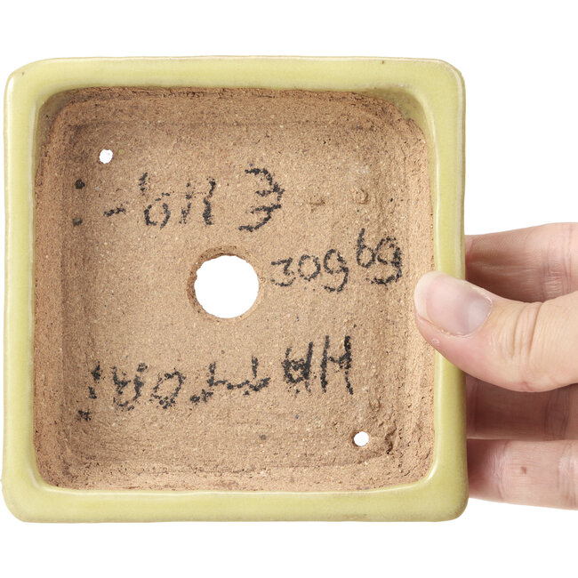 Quadratische gelbe Bonsaischale von Hattori - 108 x 108 x 30 mm