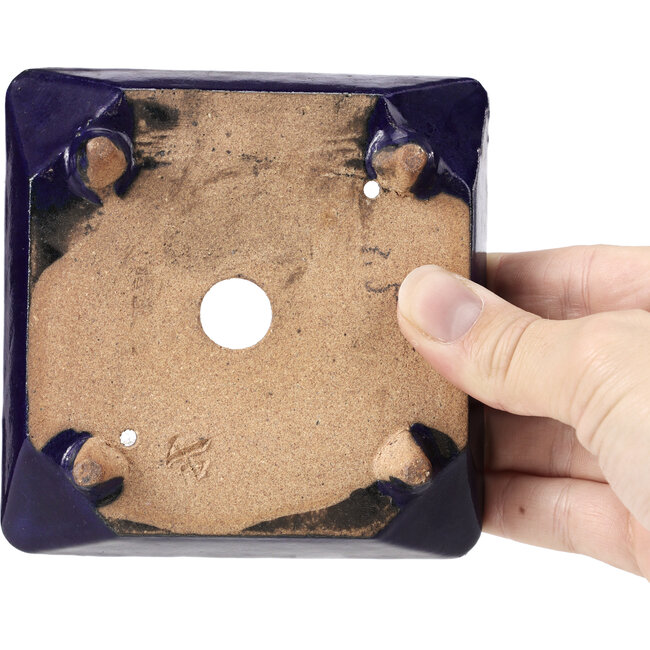Square blue bonsai pot by Hattori - 108 x 108 x 30 mm