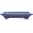 Pot à bonsaï rectangulaire bleu par Hattori - 126 x 100 x 23 mm