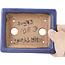 Rechteckige blaue Bonsaischale von Hattori - 126 x 100 x 23 mm