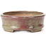 Oval red and beige bonsai pot by Hattori - 128 x 101 x 74 mm