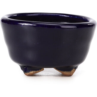  Hattori Tomoyuki 63 mm round blue bonsai pot by Hattori, Tokoname, Japan