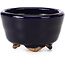 Round blue bonsai pot by Hattori - 63 x 63 x 38 mm