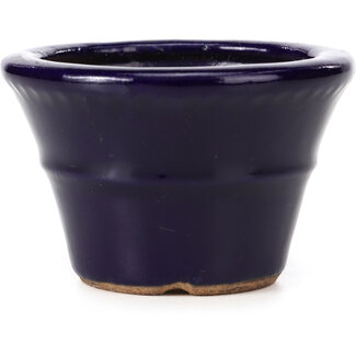  Hattori Tomoyuki 79 mm round blue bonsai pot by Hattori, Tokoname, Japan