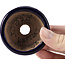 Runde blaue Bonsaischale von Hattori - 64 x 64 x 36 mm
