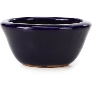  Hattori Tomoyuki 65 mm round blue bonsai pot by Hattori, Tokoname, Japan