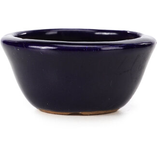 Hattori Tomoyuki Vaso per bonsai rotondo blu da 65 mm di Hattori, Tokoname, Giappone