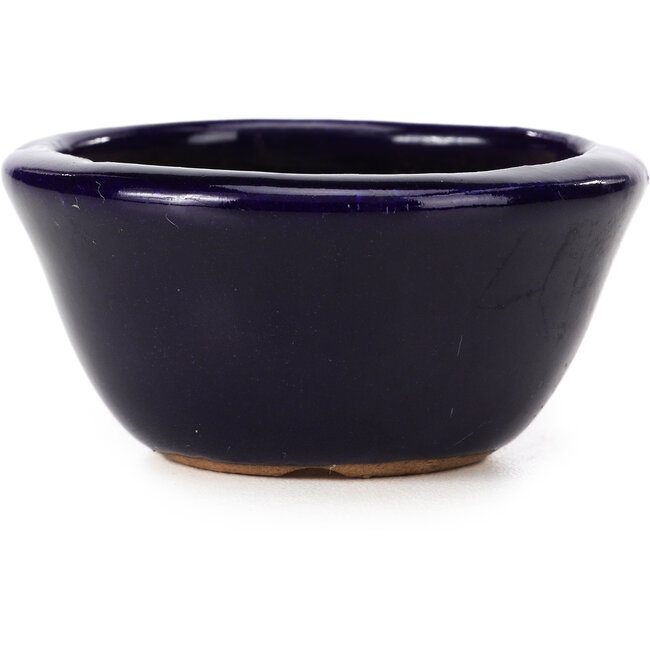 Round blue bonsai pot by Hattori - 65 x 65 x 31 mm