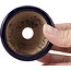Pot à bonsaï rond bleu par Hattori - 65 x 65 x 31 mm