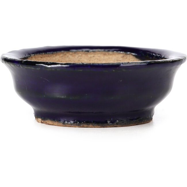 Round blue bonsai pot by Hattori - 73 x 73 x 27 mm