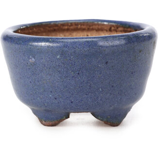  Hattori Tomoyuki 64 mm ronde blauwe bonsaipot van Hattori, Tokoname, Japan