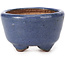 Maceta de bonsái redonda azul de Hattori - 64 x 64 x 37 mm