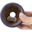 Maceta de bonsái redonda azul de Hattori - 64 x 64 x 37 mm