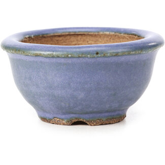  Hattori Tomoyuki 62 mm round blue bonsai pot by Hattori, Tokoname, Japan