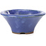 Round blue bonsai pot by Hattori - 99 x 99 x 42 mm