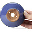 Runde blaue Bonsaischale von Hattori - 98 x 98 x 45 mm