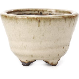  Hattori Tomoyuki 85 mm round beige bonsai pot by Hattori, Tokoname, Japan