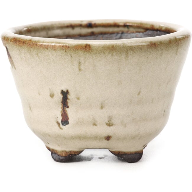 Runde beige Bonsaischale von Hattori - 85 x 85 x 60 mm