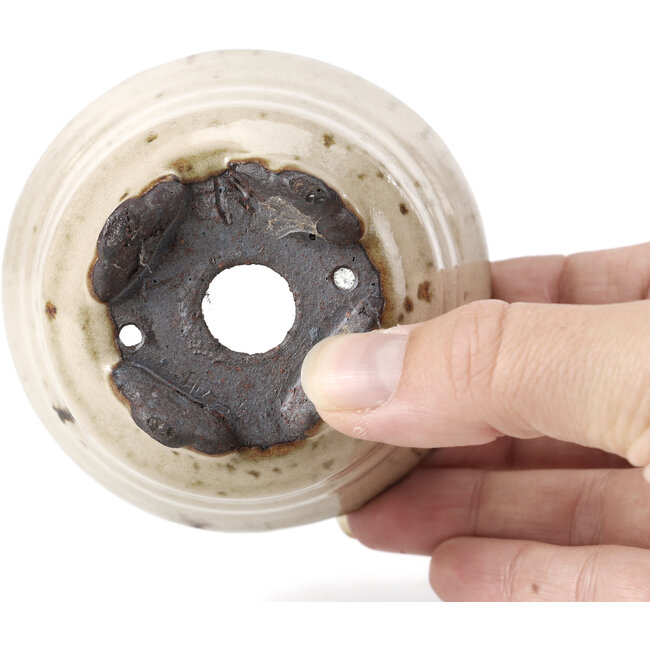 Runde beige Bonsaischale von Hattori - 85 x 85 x 60 mm