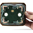 Pot à bonsaï rectangulaire bleu par Fuka - 111 x 101 x 47 mm