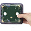 Pot à bonsaï rectangulaire bleu par Fuka - 152 x 136 x 60 mm