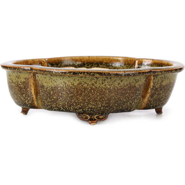 Mokko goudbruine bonsaipot van Fuka - 169 x 147 x 50 mm