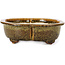 Mokko golden and brown bonsai pot by Fuka - 169 x 147 x 50 mm