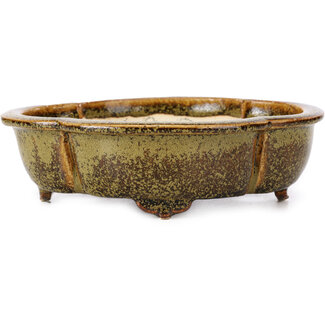 Fuka 169 mm mokko golden and brown bonsai pot by Fuka, Japan