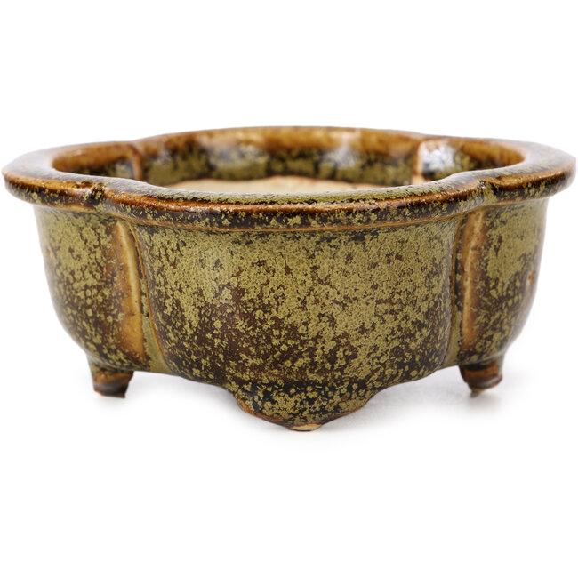 Mokko goldene und braune Bonsaischale von Fuka - 115 x 102 x 44 mm