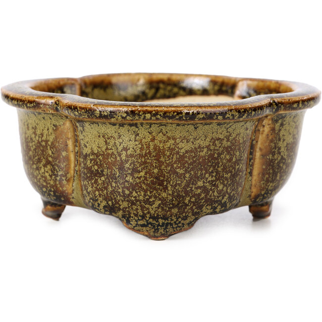 Vaso bonsai Mokko dorato e marrone di Fuka - 115 x 102 x 44 mm