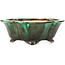 Mokko green bonsai pot by Shozan - 150 x 130 x 55 mm