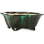 Mokko green bonsai pot by Shozan - 150 x 130 x 55 mm