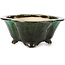 Mokko green bonsai pot by Shozan - 150 x 130 x 55 mm