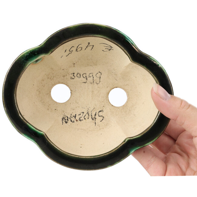 Maceta de bonsái verde Mokko de Shozan - 150 x 130 x 55 mm